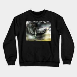 Dark Matter [Digital Fantasy Figure Illustration] Crewneck Sweatshirt